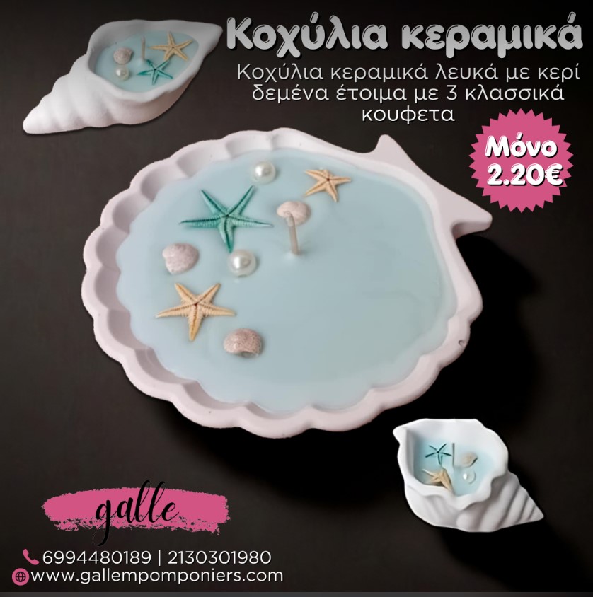 κοχύλια μπομπονιέρα βάπτισης-γάμου